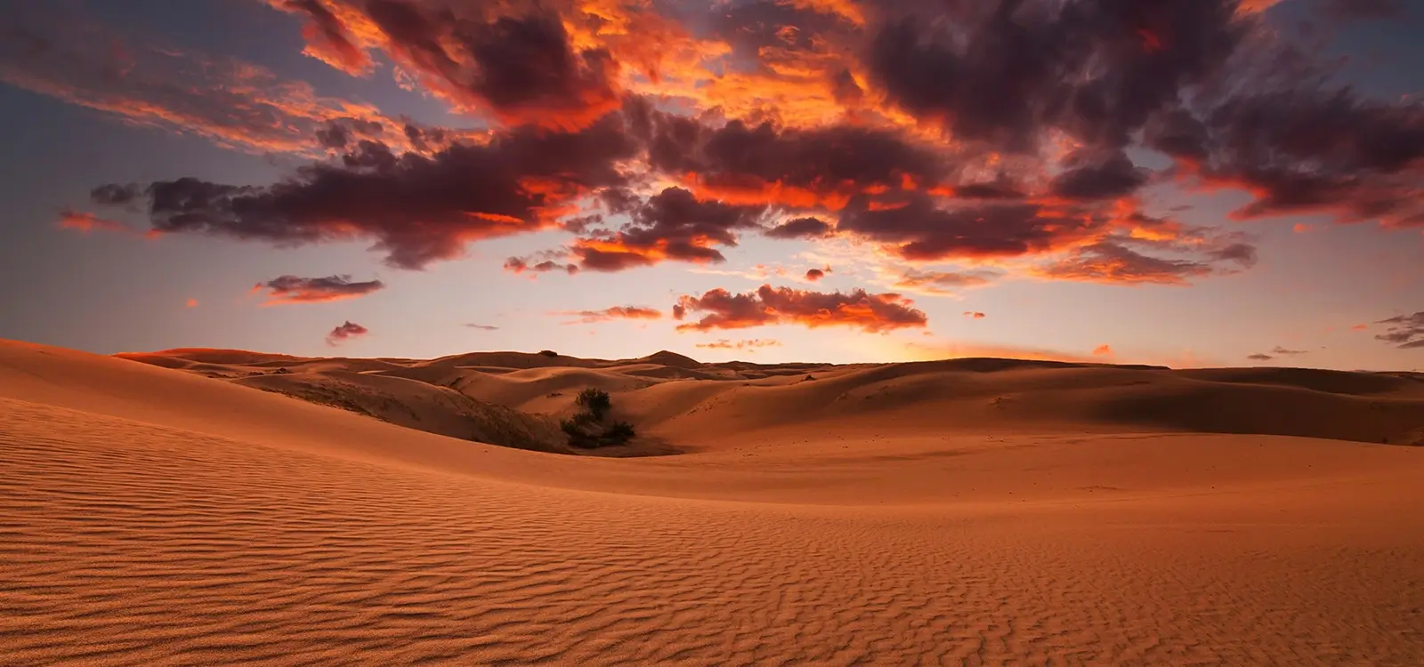 <span style=background-color: rgba(204, 0, 0, 0.7); color: rgb(255, 255, 255); padding: 5px; border-radius:10px;>HESP</span>